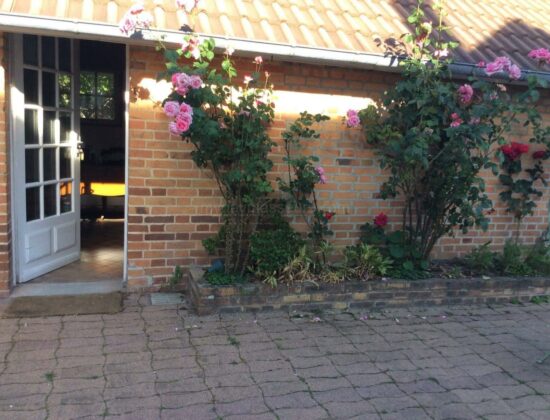 Denis massage aromatique en Sologne à salbris